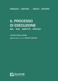 IL PROCESSO DI ESECUZIONE NEL SUO ASPETTO PRATICO