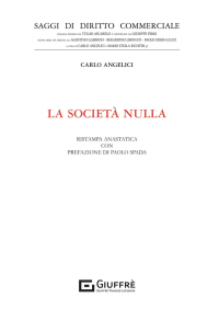 LA SOCIETÀ NULLA