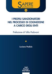 I PROFILI SANZIONATORI NEL PROCESSO DI COGNIZIONE A CARICO DEGLI ENTI