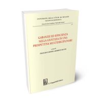 GARANZIE ED EFFICIENZA NELLA GIUSTIZIA IN UNA PROSPETTIVA MULTIDISCIPLINARE