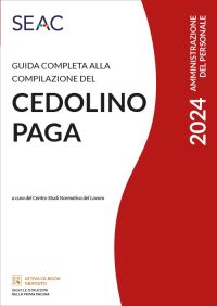 GUIDA COMPLETA ALLA COMPILAZIONE DEL CEDOLINO PAGA 2024 E-book