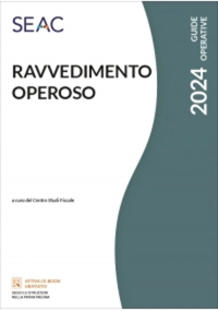 RAVVEDIMENTO OPEROSO E-book