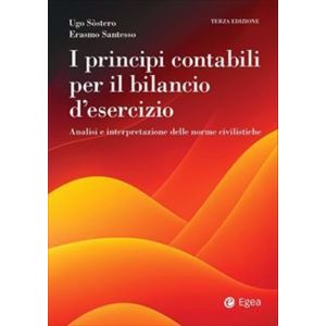 I PRINCIPI CONTABILI PER IL BILANCIO D'ESERCIZIO