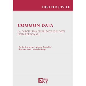 COMMON DATA
