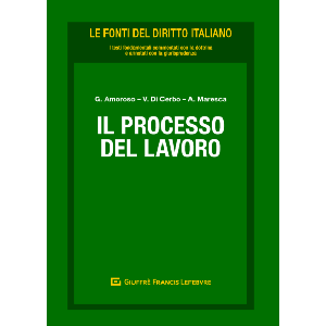 IL PROCESSO DEL LAVORO