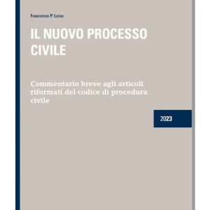 IL NUOVO PROCESSO CIVILE