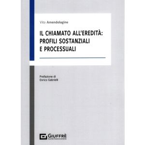 IL CHIAMATO ALL'EREDITA': Profili Sostanziali e Processuali