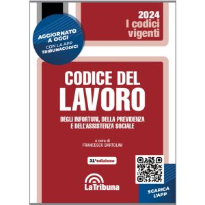 CODICE DEL LAVORO 2024