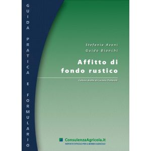 AFFITTO DI FONDO RUSTICO E-Book