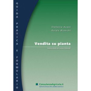 VENDITA SU PIANTA E-Book