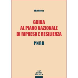 GUIDA AL PIANO NAZIONALE DI RIPRESA E RESILIENZA - PNRR