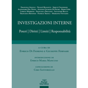 INVESTIGAZIONI INTERNE