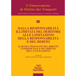 DALLA RESPONSABILITÀ ILLIMITATA DEL DEBITORE ALLE LIMITAZIONI DELLA RESPONSABILI TÀ E DEL DEBITO