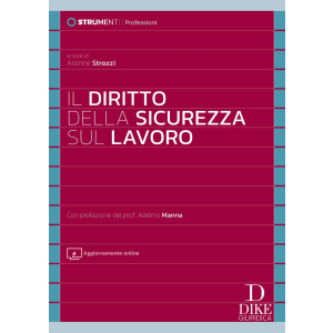 IL DIRITTO DELLA SICUREZZA SUL LAVORO