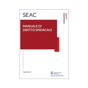MANUALE DI DIRITTO SINDACALE E-book