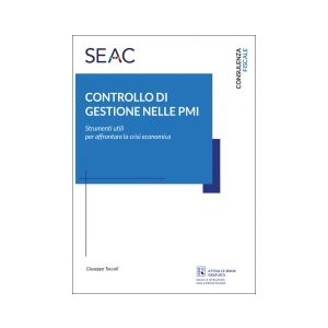 CONTROLLO DI GESTIONE NELLE PMI E-book