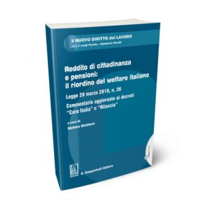 REDDITO DI CITTADINANZA E PENSIONI: IL RIORDINO DEL WELFARE ITALIANO