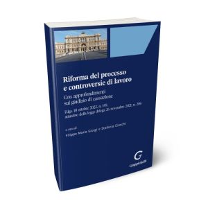 RIFORMA DEL PROCESSO E CONTROVERSIE DI LAVORO