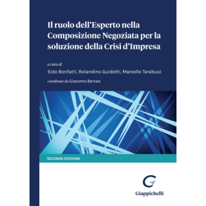 IL RUOLO DELL'ESPERTO NELLA COMPOSIZIONE NEGOZIATA PER LA SOLUZIONE DELLA CRISI D'IMPRESA