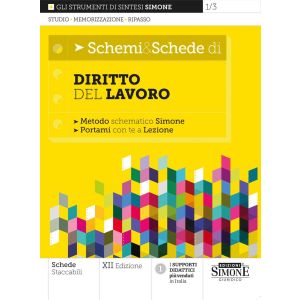 1/3 SCHEMI E SCHEME DI DIRITTO DEL LAVORO