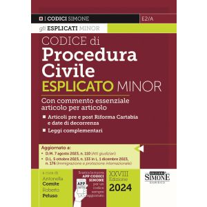E2/A CODICE DI PROCEDURA CIVILE  ESPLICATO 2024 Minor