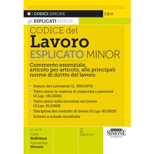 E8/A CODICE DEL LAVORO 2024 Esplicato Minor