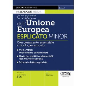 E11/A CODICE DELL'UNIONE EUROPEA 2024 Esplicato Minor