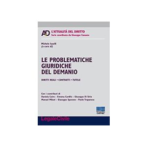 LE PROBLEMATICHE GIURIDICHE DEL DEMANIO 2014 Dirittti reali, contratti, tutele