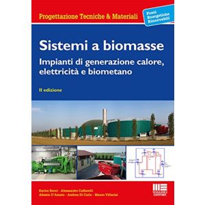 SISTEMI A BIOMASSE Impianti di generazione calore, elettricità e biometano