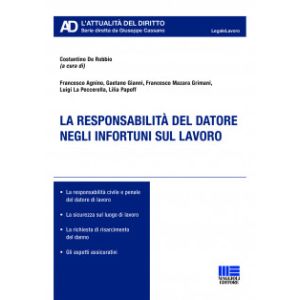 LA RESPONSABILITA' DEL DATORE NEGLI INFORTUNI SUL LAVORO