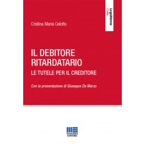 IL DEBITORE RITARDATARIO