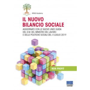 IL NUOVO BILANCIO SOCIALE