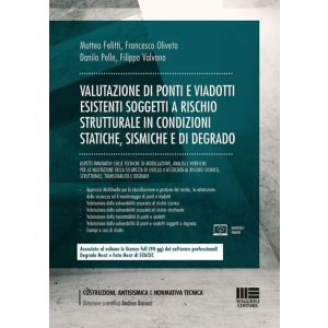 VALUTAZIONE DI PONTI E VIADOTTI ESISTENTI SOGGETTI A RISCHIO STRUTTURALE IN CONDIZIONI STATICHE, SISMICHE E DI DEGRADO