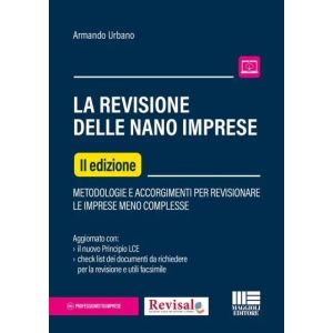 LA REVSIONE DELLE NANO IMPRESE Metodologie e Accorgimenti per revisionare le imprese meno complesse