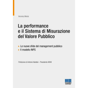 LA PERFORMANCE E IL SISTEMA DI MISURAZIONE DEL VALORE PUBBLICO