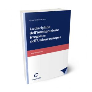 LA DISCIPLINA DELL'IMMIGRAZIONE IRREGOLARE NELL'UNIONE EUROPEA