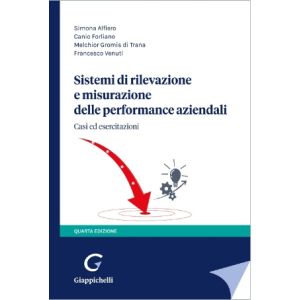 SISTEMI DI RILEVAZIONE E MISURAZIONE DELLE PERFORMANCE AZIENDALI