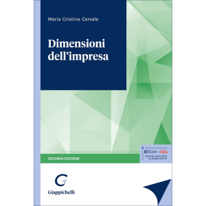 DIMENSIONI DELL'IMPRESA