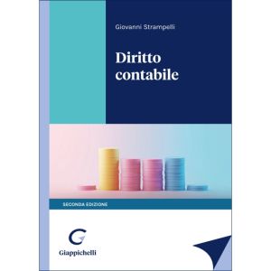 DIRITTO CONTABILE