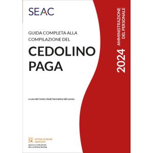 GUIDA COMPLETA ALLA COMPILAZIONE DEL CEDOLINO PAGA 2024