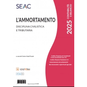 L'AMMORTAMENTO 2025 E-book