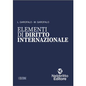 ELEMENTI DI DIRITTO INTERNAZIONALE