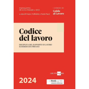 CODICE DEL LAVORO 2024