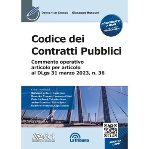 CODICE DEI CONTRATTI PUBBLICI 2023