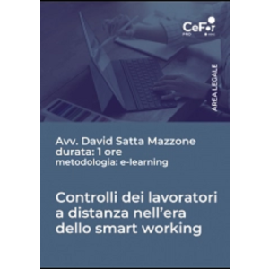 E-Learning - Controlli dei lavoratori a distanza nell'era dello smart working