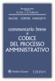 COMMENTARIO BREVE AL CODICE DEL PROCESSO AMMINISTRATIVO