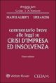 COMMENTARIO BREVE ALLE LEGGI SU CRISI D'IMPRESA ED INSOLVENZA