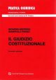 GIUDIZIO COSTITUZIONALE