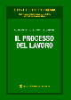 IL PROCESSO DEL LAVORO