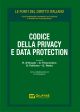 CODICE DELLA PRIVACY E DATA PROTECTION 2021